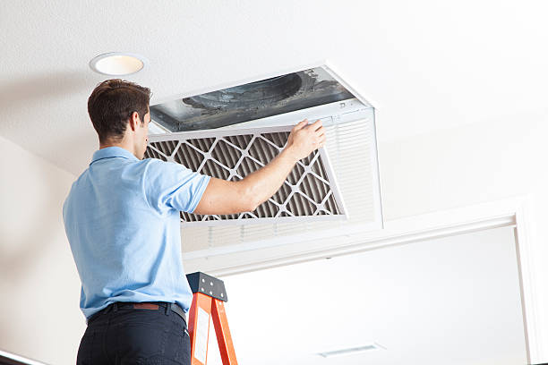 Best Air quality test  in Eidson Road, TX